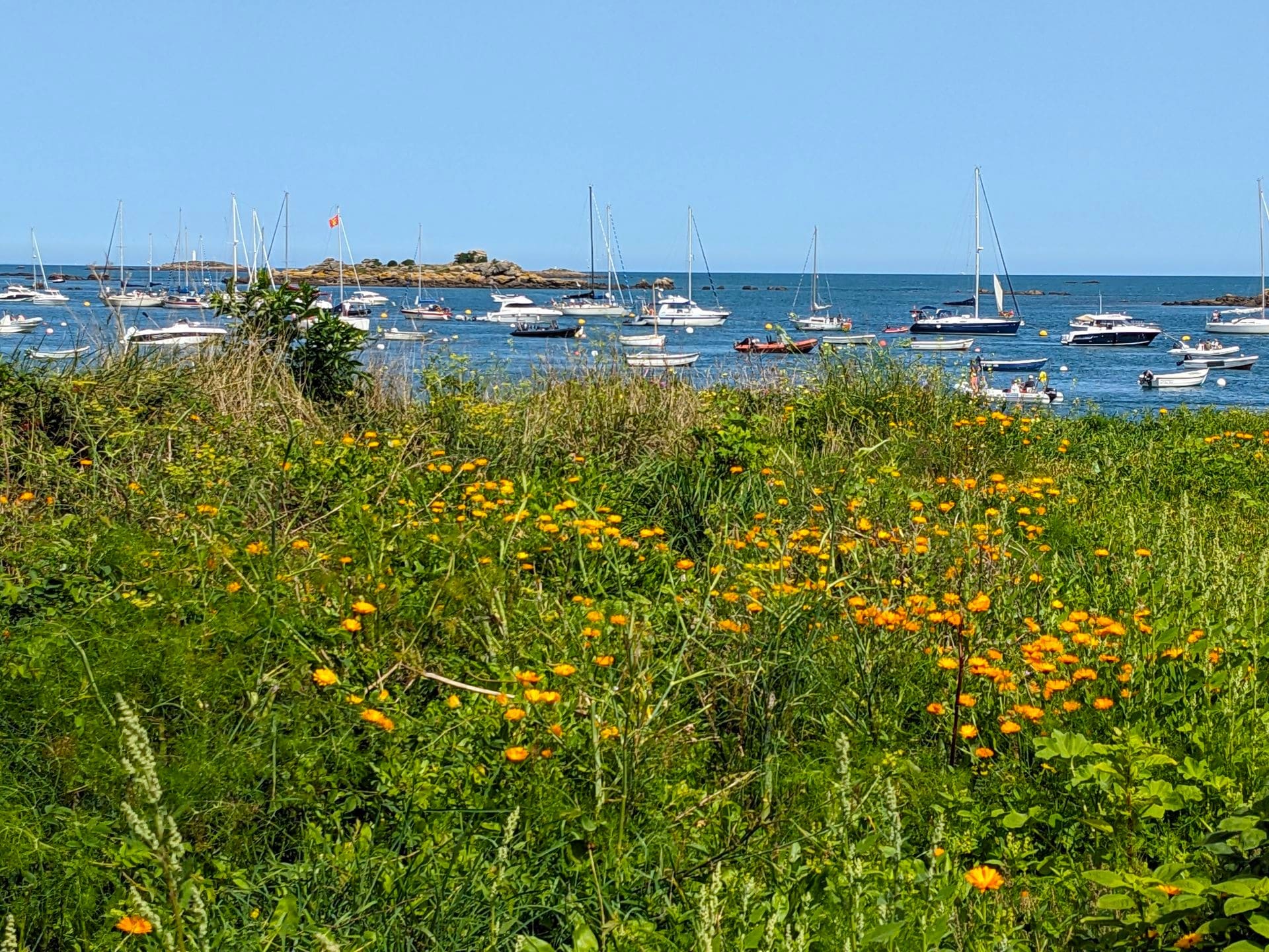 Visiter iles Chausey