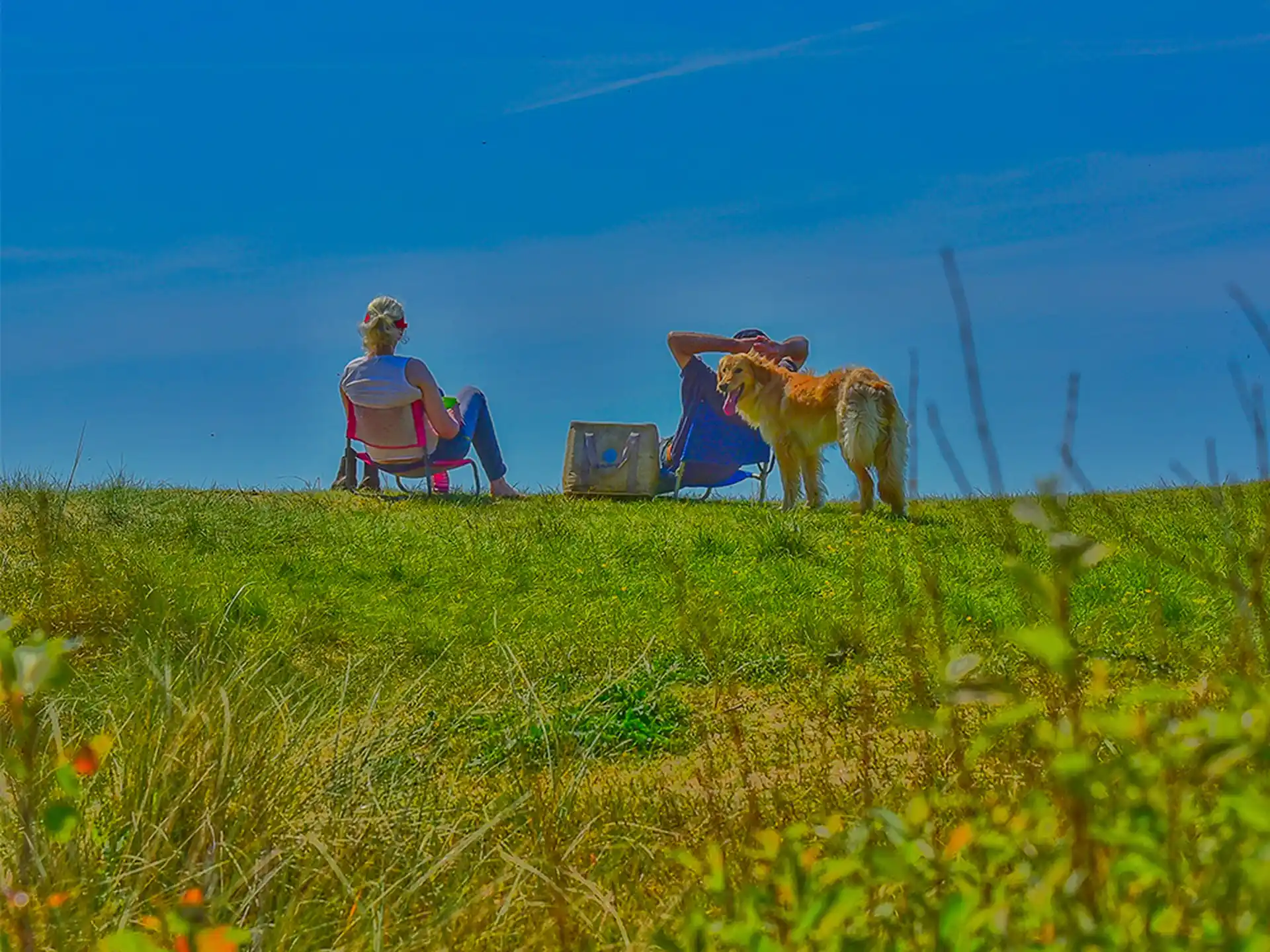 Farniente in the dunes facing the sea